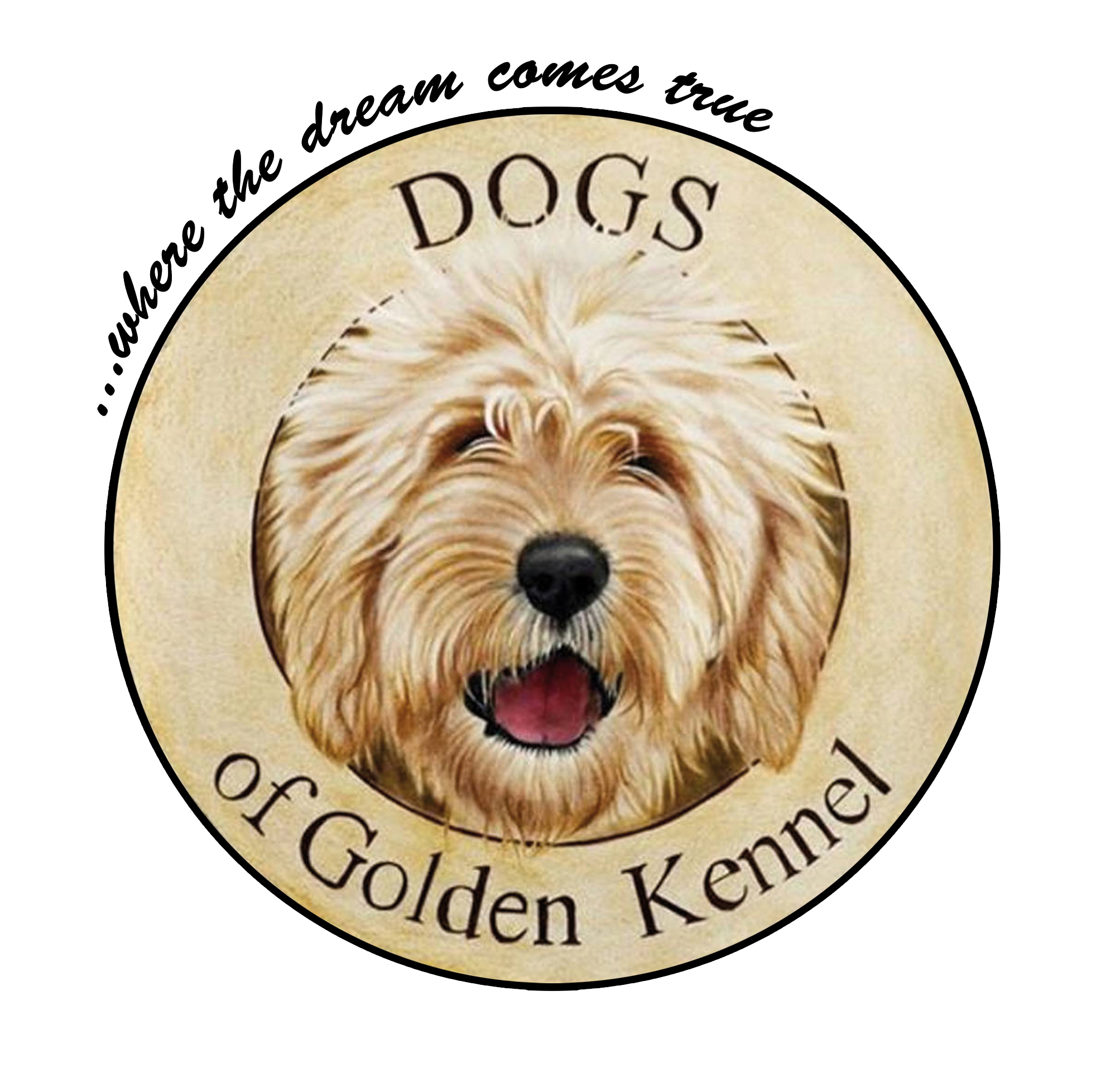 Doodle Besuchertag bei Dogs of Golden Kennel in Langelsheim Dogs of GoldenKennel