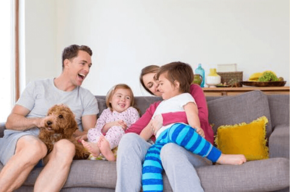 Doodle inar Dogs of GoldenKennel