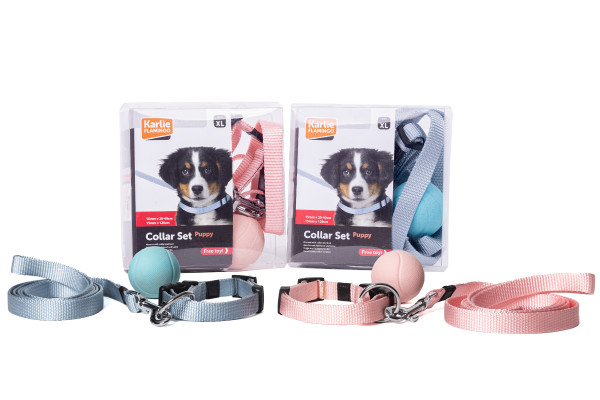 Welpenset mit Halsband, Leine und Ball