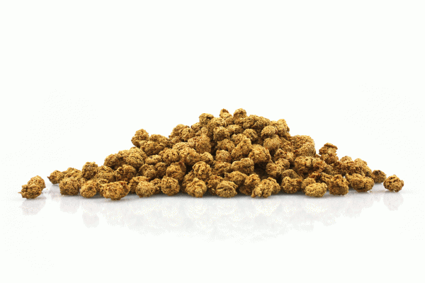 Golden Farmer Training Snack Rindfleisch mit Colostrum 100g